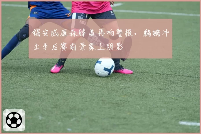 锡安威廉森膝盖再响警报，鹈鹕冲击季后赛前景蒙上阴影