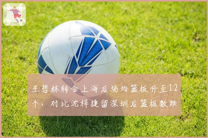 王哲林转会上海后场均篮板升至12个,对比沈梓捷留深圳后篮板数跌至8个