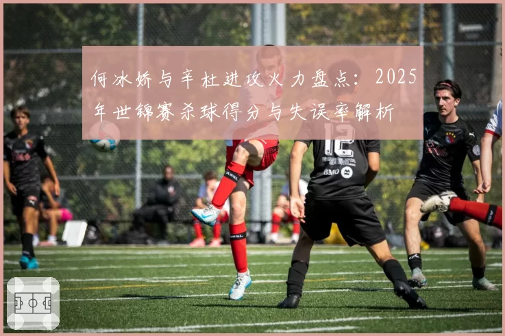 何冰娇与辛杜进攻火力盘点：2025年世锦赛杀球得分与失误率解析