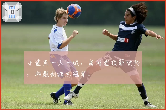 小鲨鱼一人一城，高诗岩顶薪续约，邱彪剑指总冠军！
