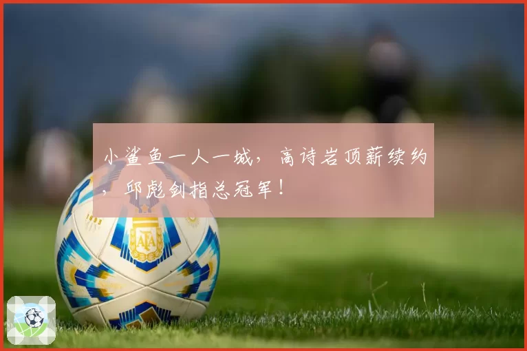 小鲨鱼一人一城，高诗岩顶薪续约，邱彪剑指总冠军！