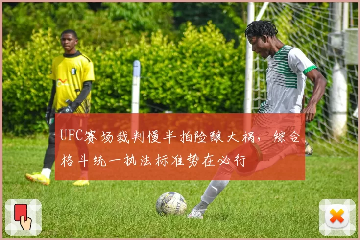 UFC赛场裁判慢半拍险酿大祸,综合格斗统一执法标准势在必行