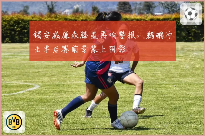 锡安威廉森膝盖再响警报，鹈鹕冲击季后赛前景蒙上阴影