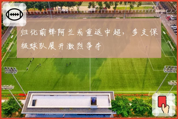 归化前锋阿兰或重返中超,多支保级球队展开激烈争夺